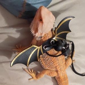 Meet your Posher, Hilda